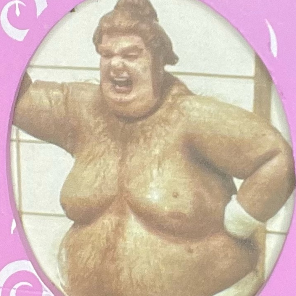 Funny “NO BOYS ALLOWED” door knob hanger